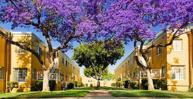 2 Bedroom With A View Near The Grove Appartement Los Angeles